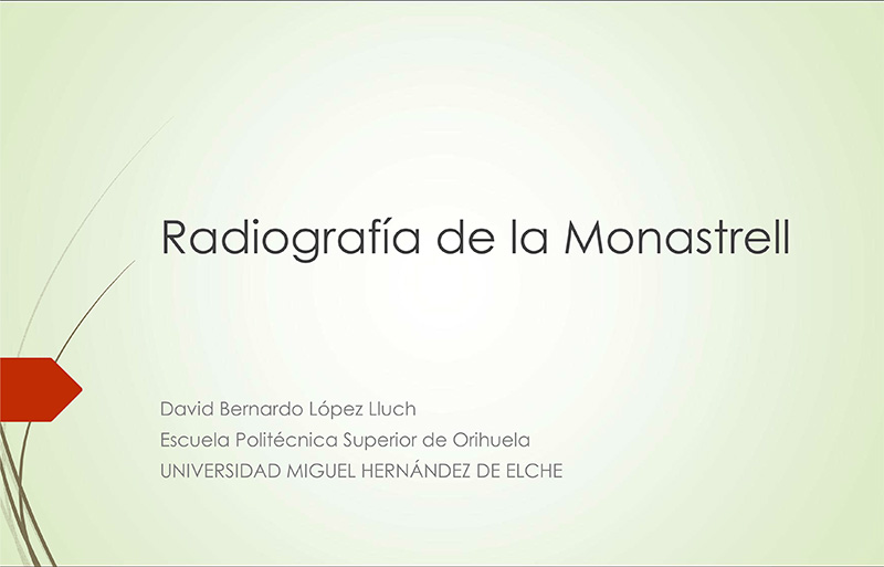 Radiografía de la monastrell