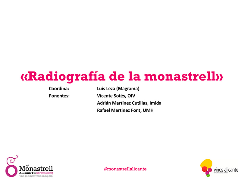Radiografía de la Monastrell, Luis Leza